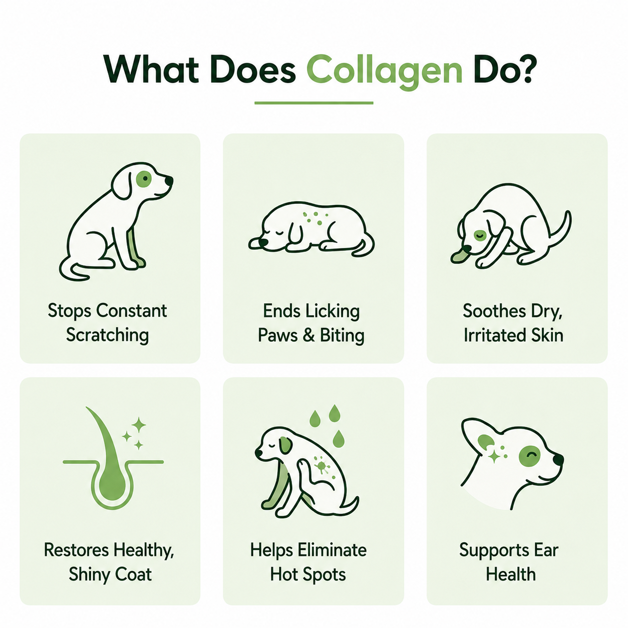 Paw Nuri™ Premium Liquid Collagen
