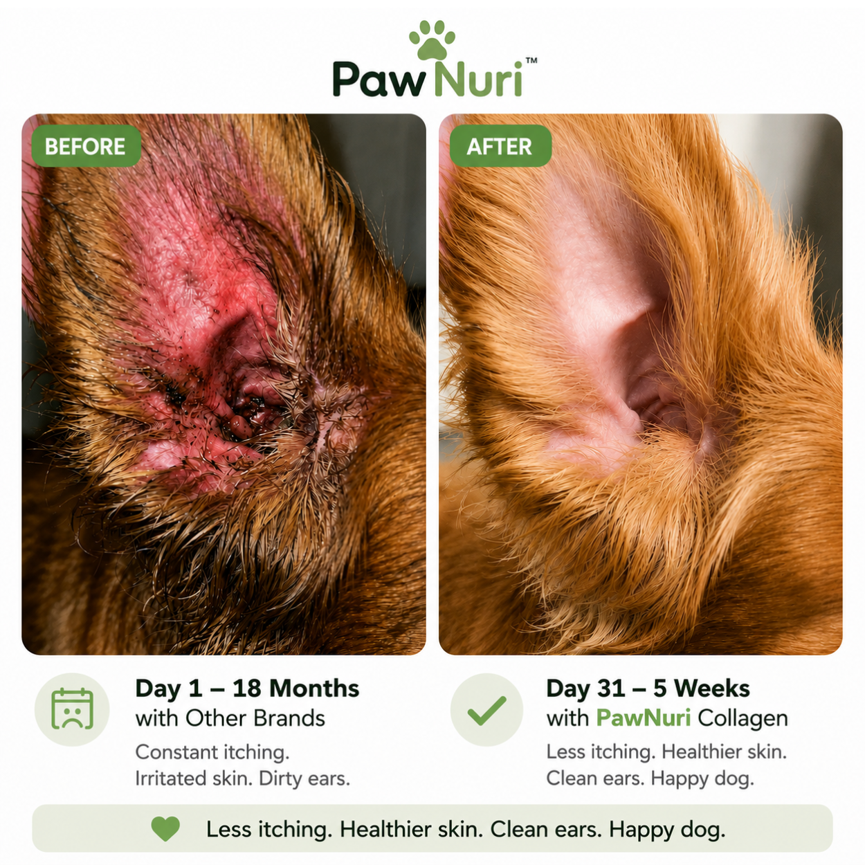 Paw Nuri™ Premium Liquid Collagen